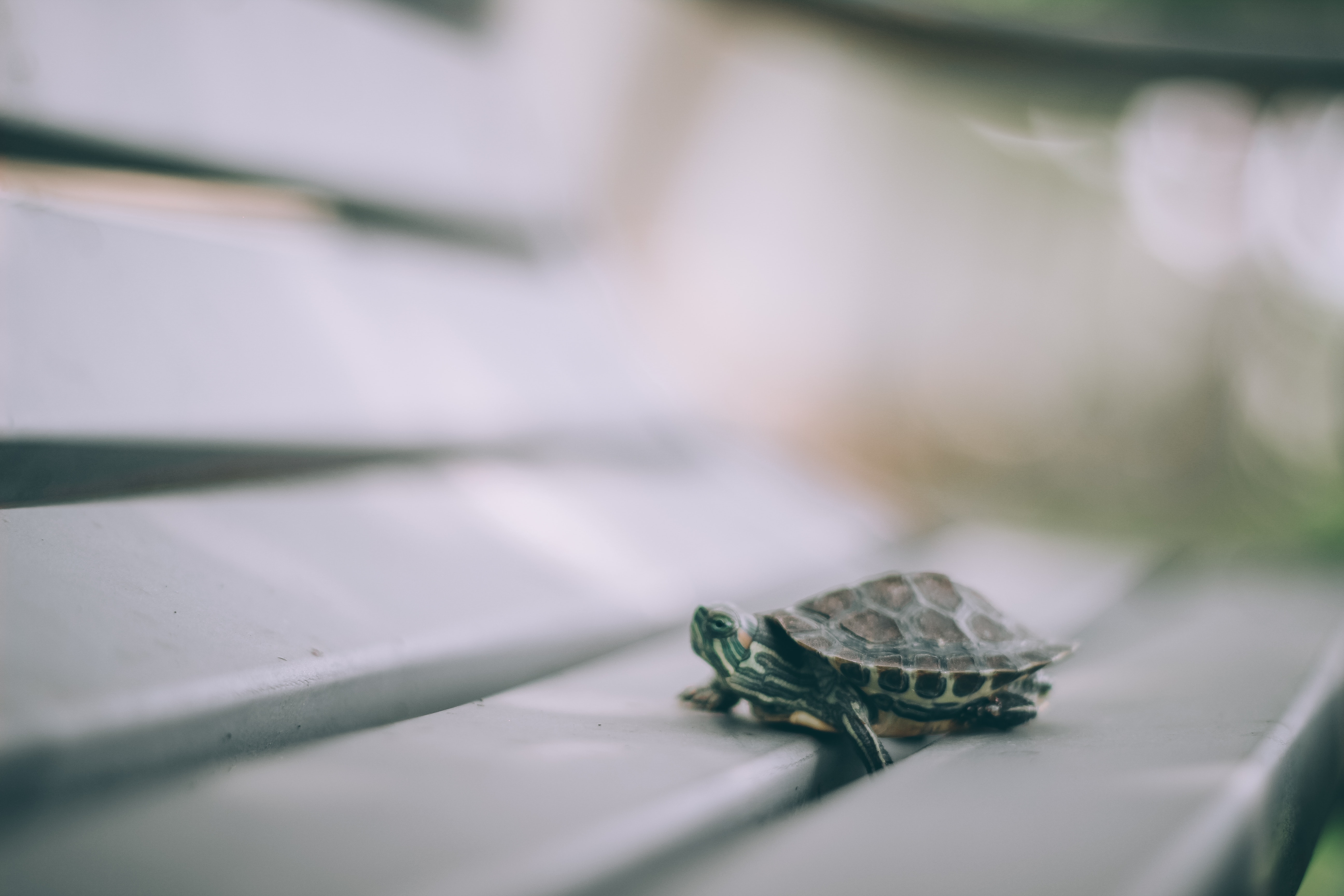 Bookkeeping Help - Books are Behind
