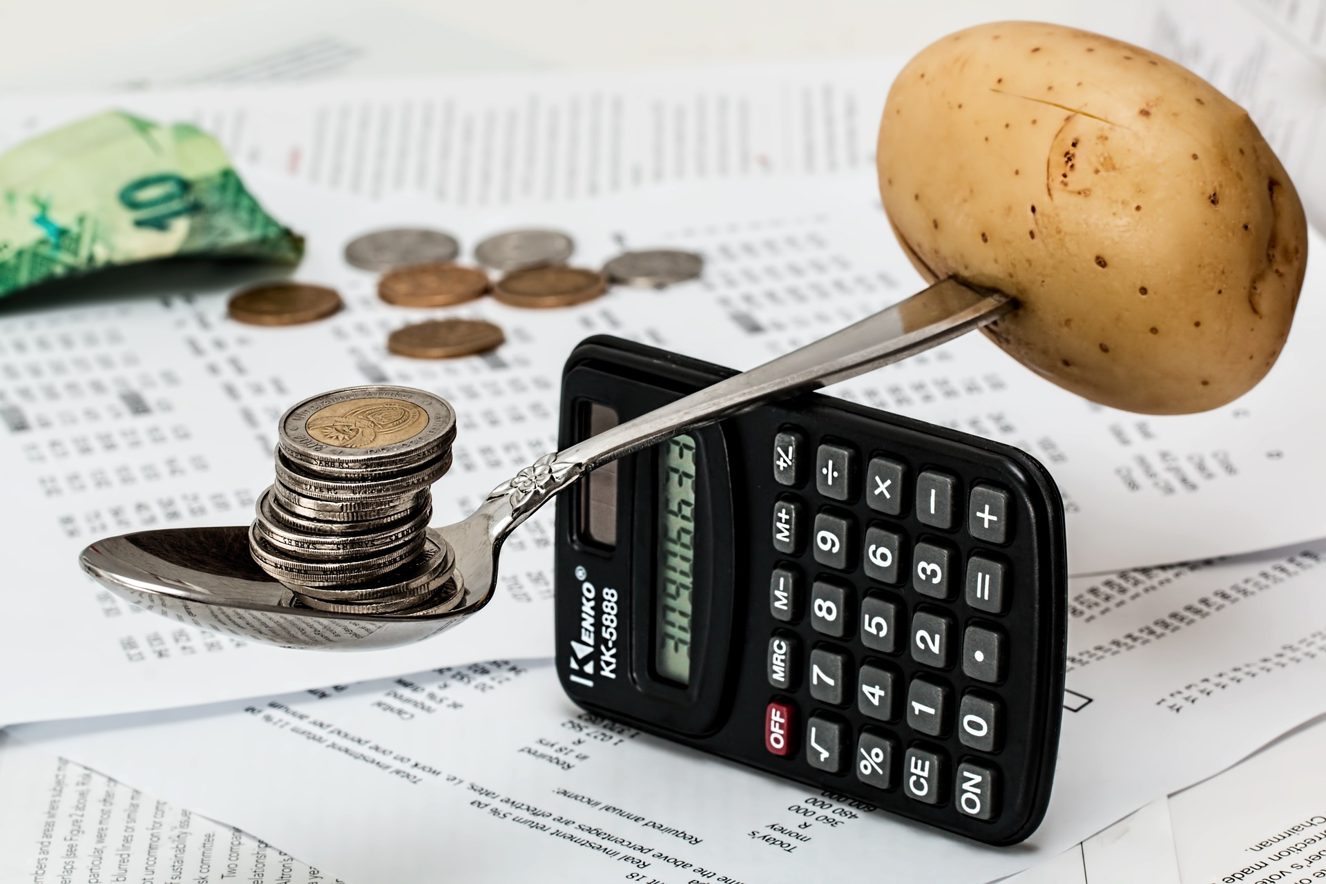 CFO Services - Budget & Forecast