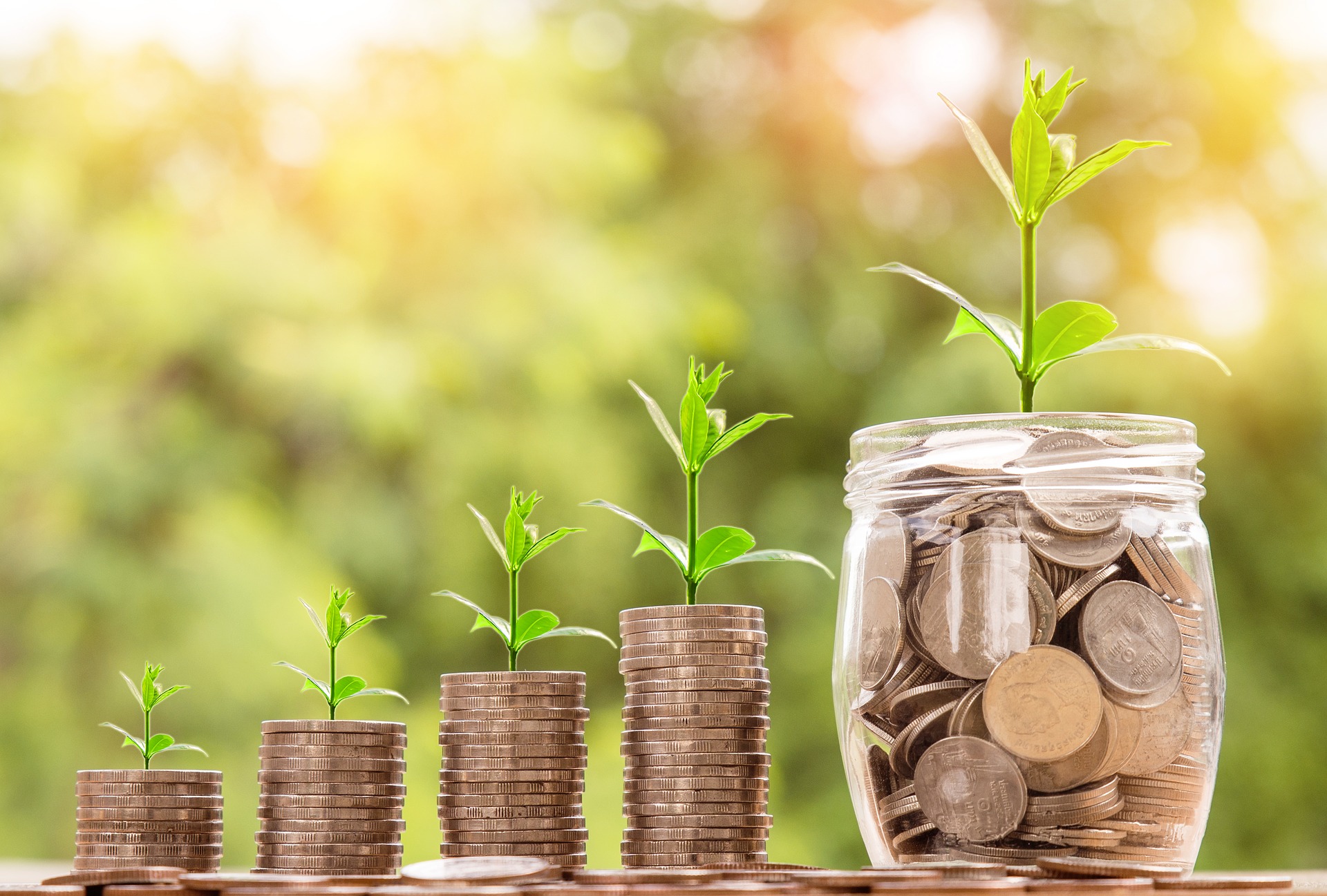 Create a Budget - Year End Activities