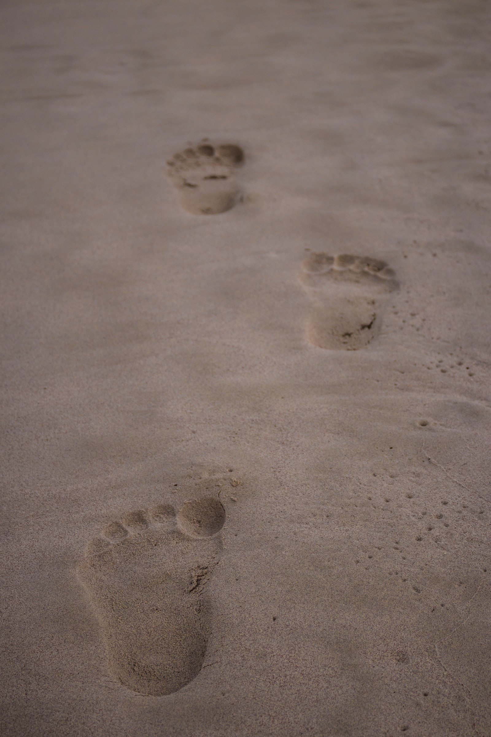Choice of Entity - Sole Proprietorship