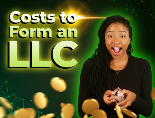 LLC costs