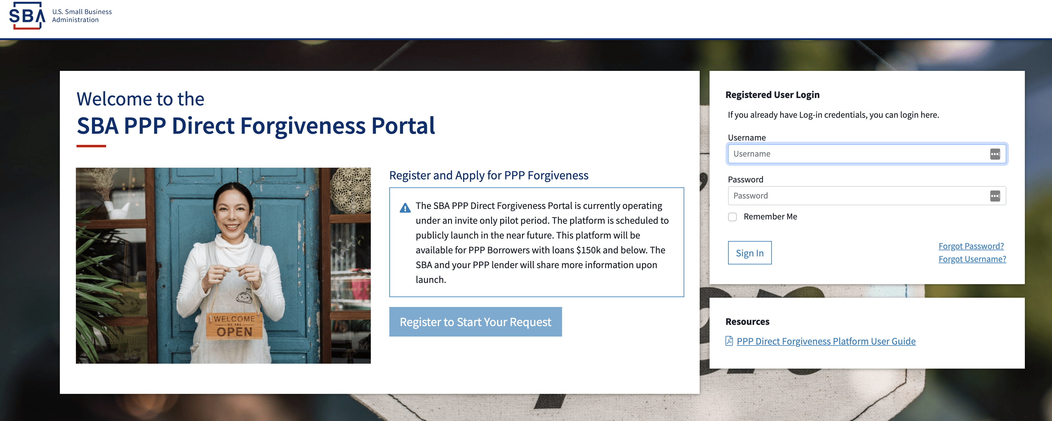 PPP loan forgiveness portal