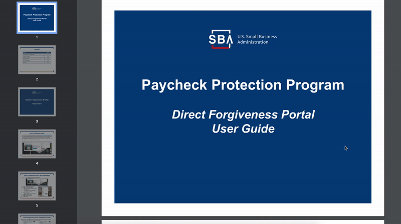 PPP loan forgiveness portal