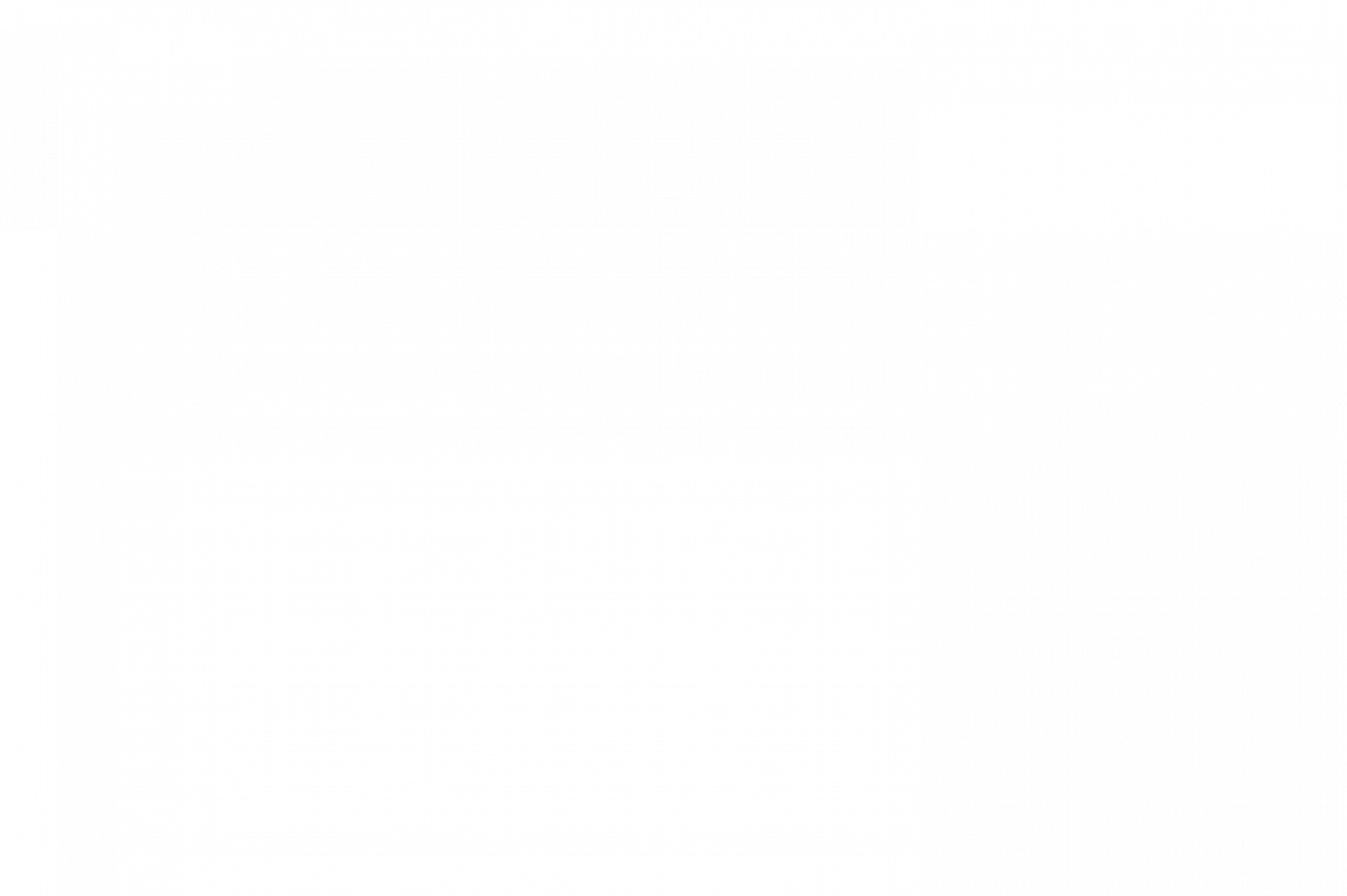cfo services