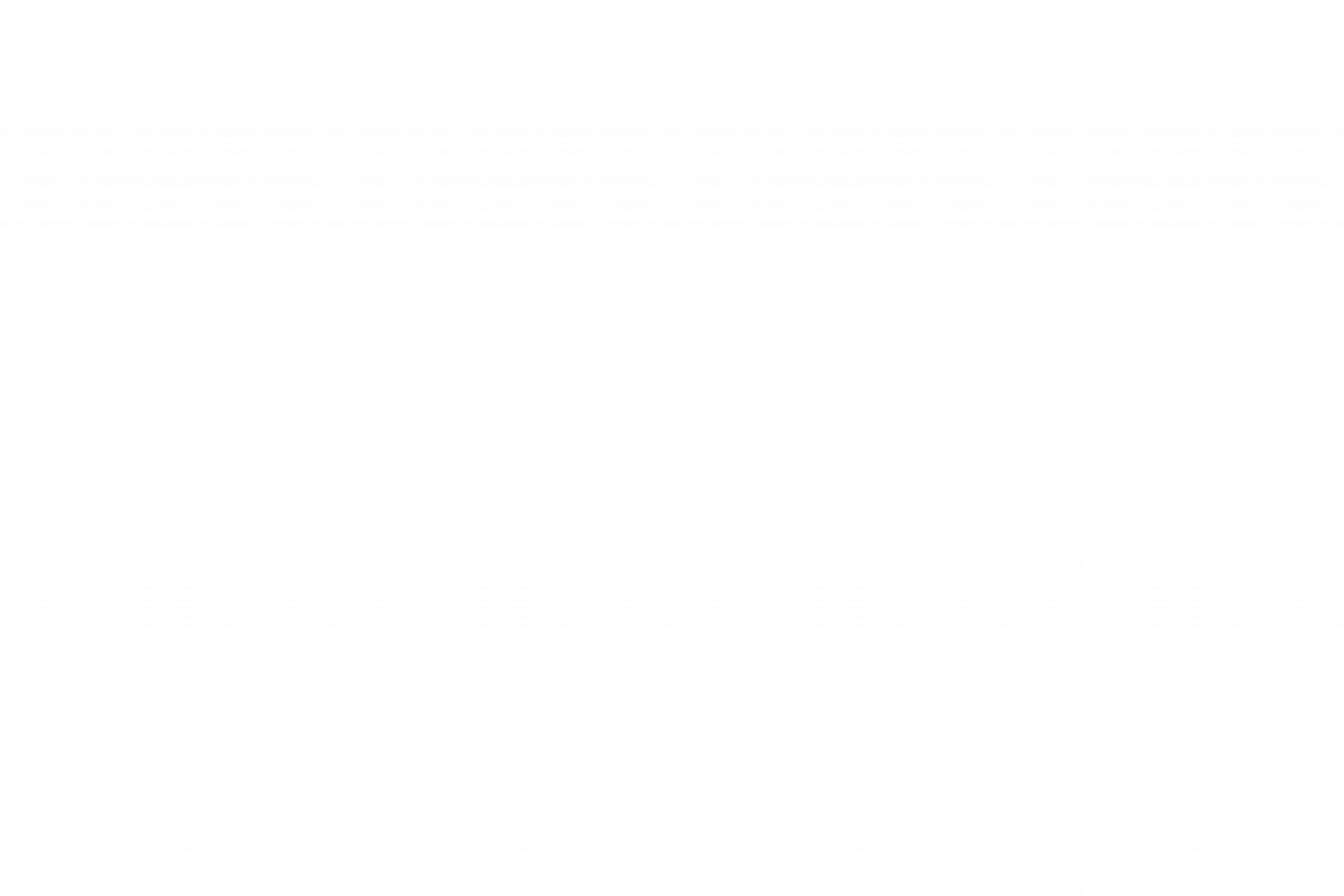 cfo services